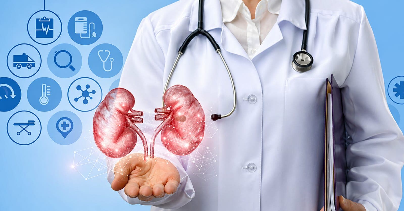 Pharmacy shelf with medicines — nephrology supply
